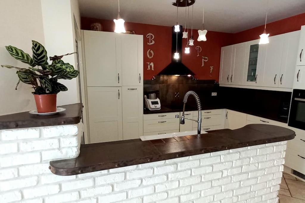 Villa 140 M² Hab. Avec Piscine カストル エクステリア 写真